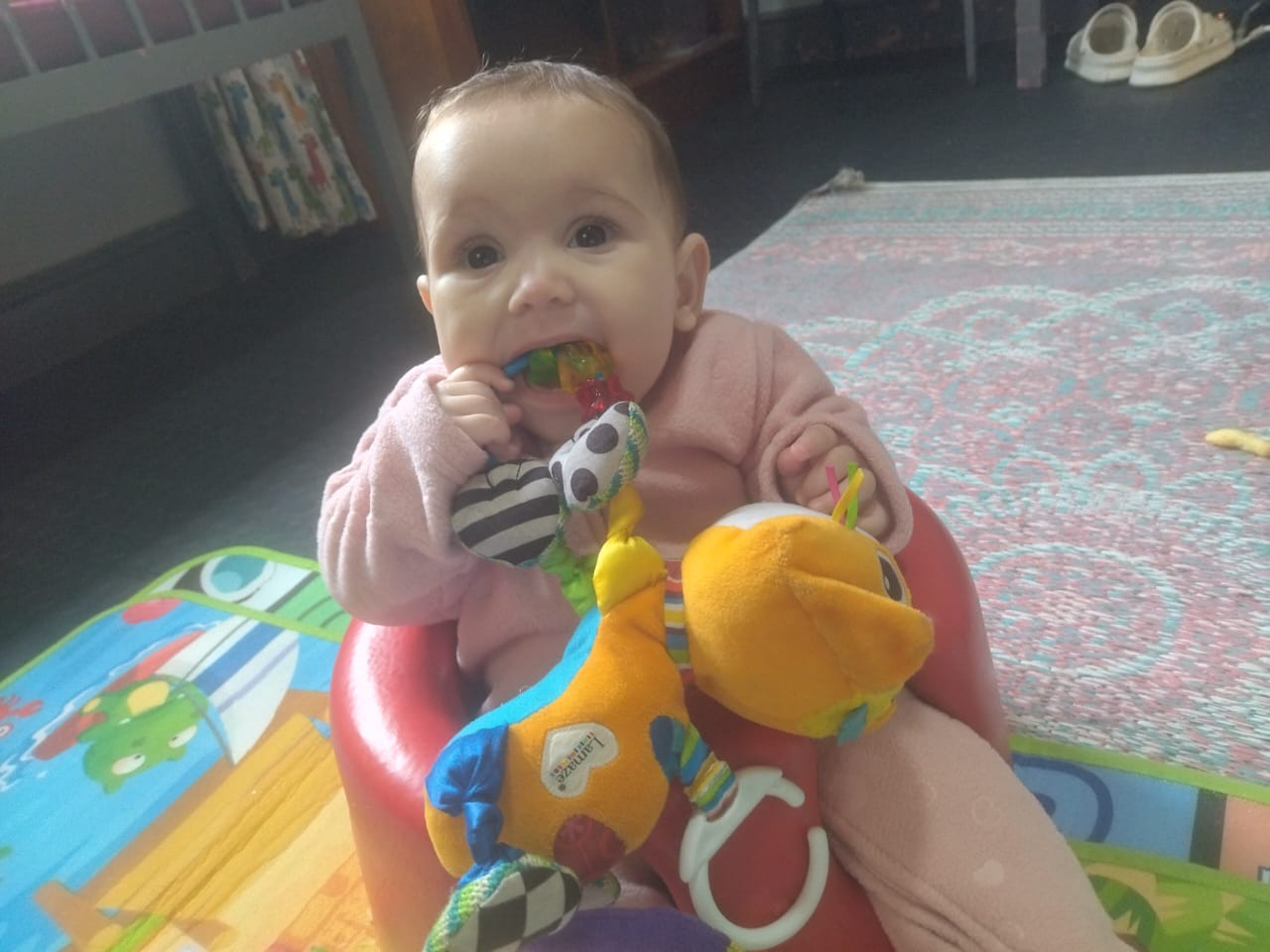 WhatsApp Image 2024-06-04 at 13.48.13