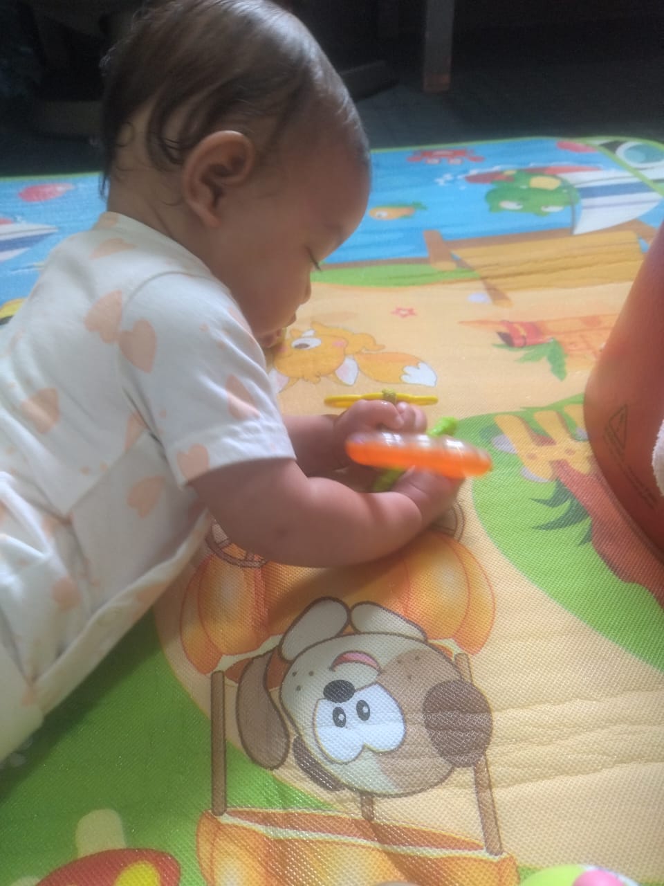 WhatsApp Image 2024-06-04 at 13.48.15 (1)