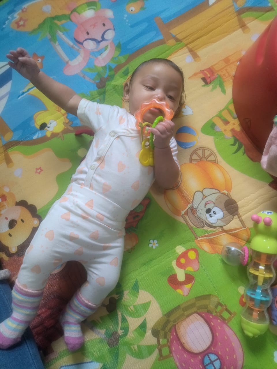 WhatsApp Image 2024-06-04 at 13.48.15