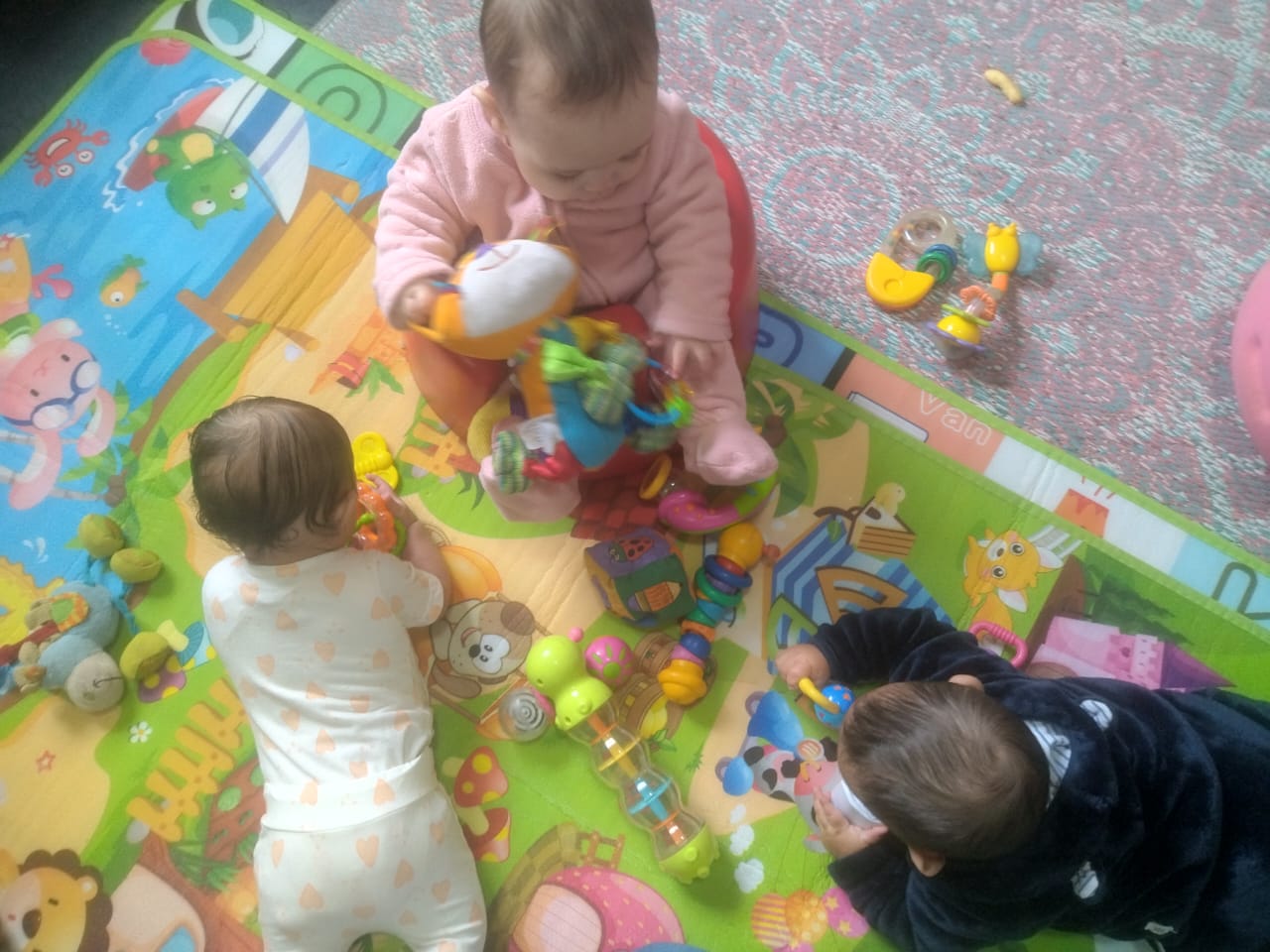 WhatsApp Image 2024-06-04 at 13.48.16 (1)